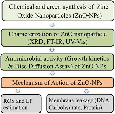 zinc nanoparticle oxide activity mechanism present flowchart frontiersin carbapenem resistant baumannii acinetobacter bacterial anti against